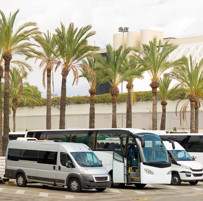 Transfer brasileiro Lisboa