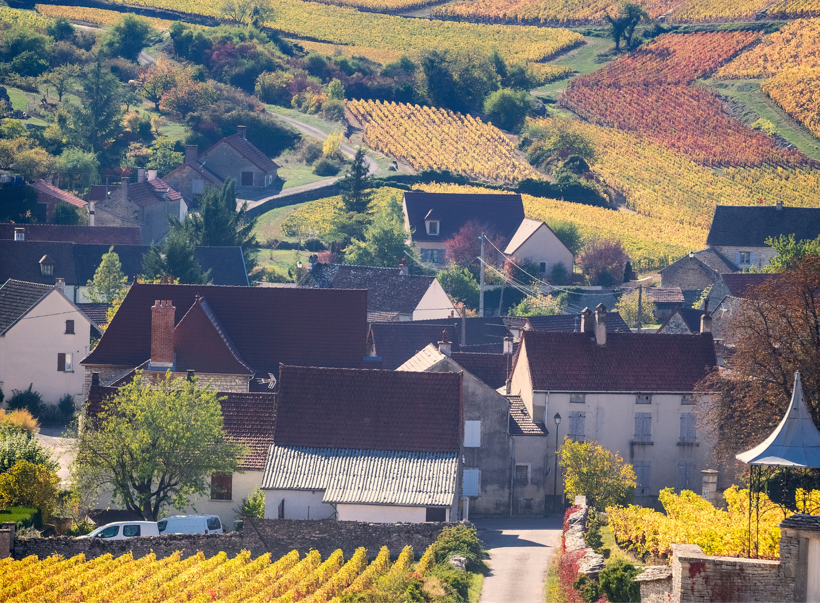 Rua charmosa com construções em enxaimel e lojas de vinhos.