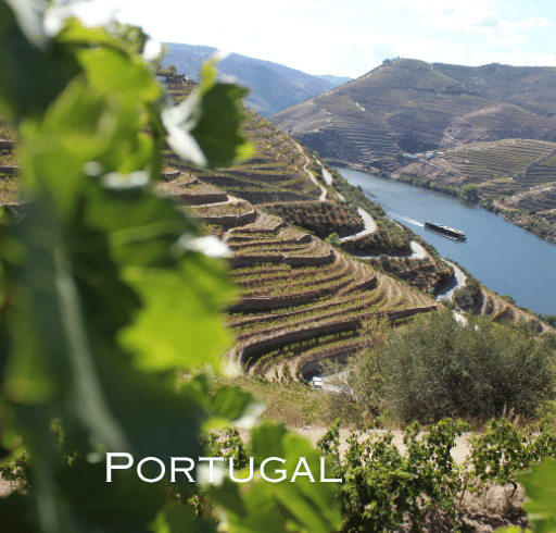Vista do Douro